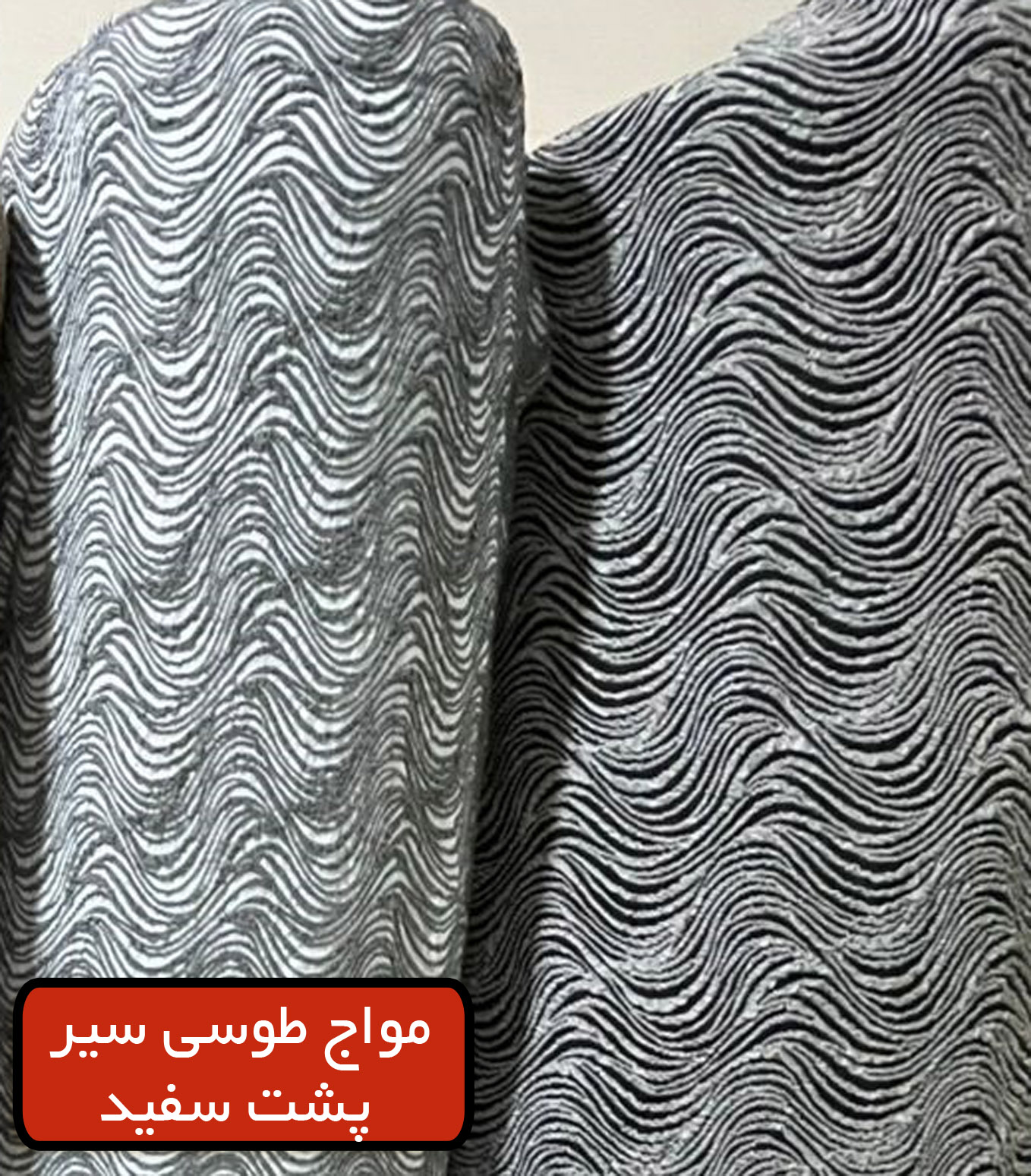 مواج طوسي سير پشت سفيد